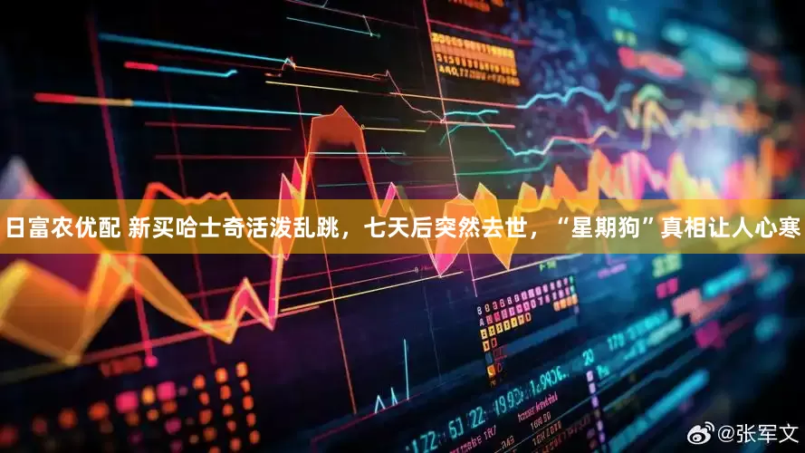 日富农优配 新买哈士奇活泼乱跳，七天后突然去世，“星期狗”真相让人心寒