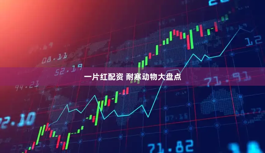 一片红配资 耐寒动物大盘点