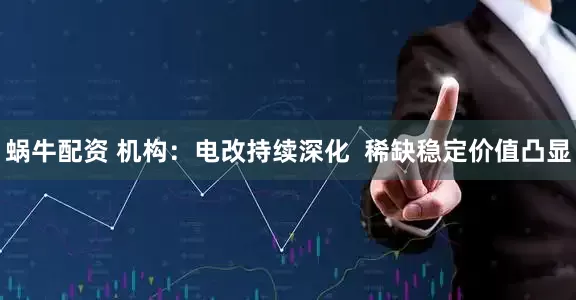蜗牛配资 机构：电改持续深化  稀缺稳定价值凸显