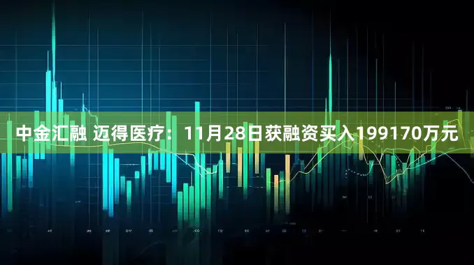 中金汇融 迈得医疗：11月28日获融资买入199170万元