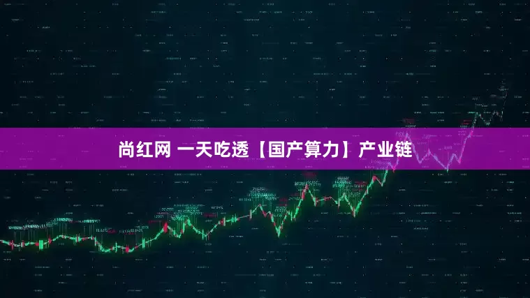 尚红网 一天吃透【国产算力】产业链